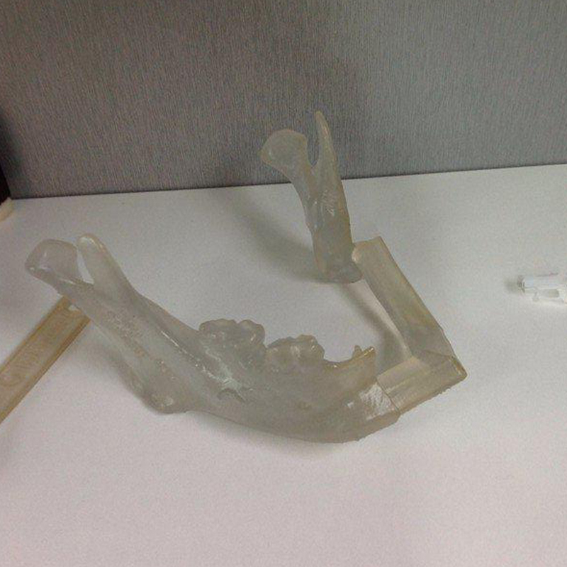 醫學研究模型人體骨骼結構手板